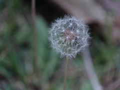 -艾溪湖湿地公园