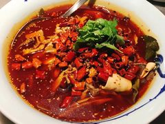 毛血旺-辛香汇(飞洲店)