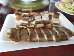 -食海部落