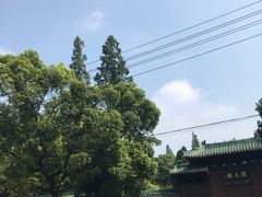 -荆州博物馆