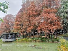 -四海公园(南山区)