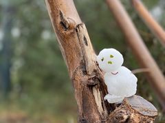 -北门涮肉·炭火铜锅涮肉(什刹海店)