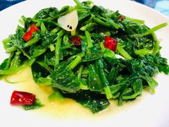 素炒豌豆尖-香满楼(临安路店)