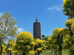 -西海子公园