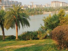 -枫香湖儿童公园