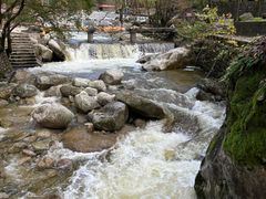 -陕西省红河谷森林公园