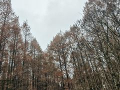 -山王坪喀斯特国家生态公园