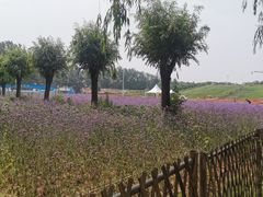 -北戴河集发农业梦想王国