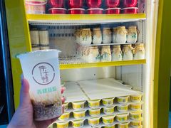 -德禄酸奶(莫家街店)