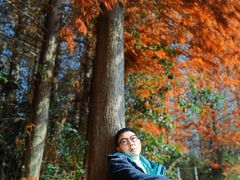 -溱湖国家湿地公园