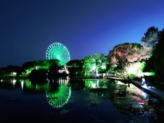 -蠡湖大桥公园