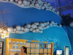 -烟台海昌鲸鲨海洋公园