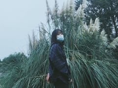 -月湖风景区