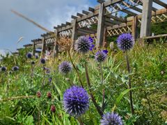 -白草畔自然风景区
