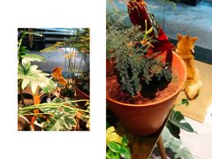 -柴务处·柴犬主题狗咖