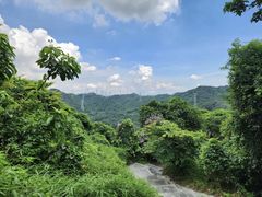 -阳台山森林公园