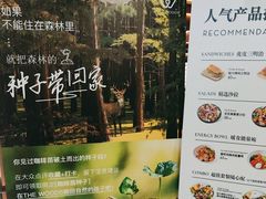 -THE WOODS 简餐 (国贸商城店)