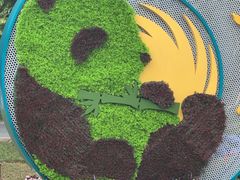 -深圳仙湖植物园