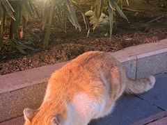 -北京颐和宾馆