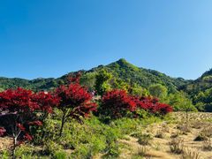 -昆嵛山石门里景区