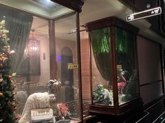 -星聚会KTV(景枫中心店)