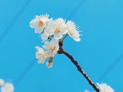 -郑州植物园