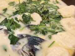 天目湖鱼头汤-天福苑(崇宁路店)