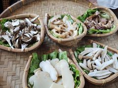 -滇野云南野生菌餐厅(陕西南路店)
