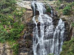 -海南热带雨林国家公园吊罗山景区