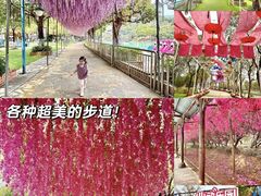 -盈香心动乐园