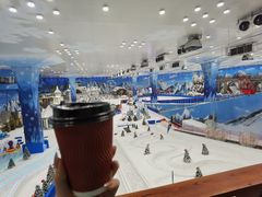 -长沙湘江冰雪世界