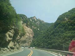 -王顺山国家森林公园