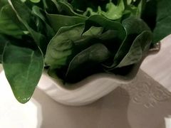 -龙福成肥牛火锅(文昌店)