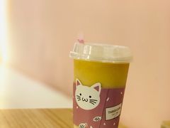 -浣熊柯尔鸭土拨鼠·电玩咖