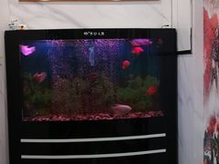 -精益眼镜(春熙路店)