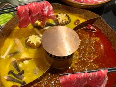 -佬肥猫(国华广场店)