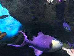 -多彩贵州城极地海洋世界