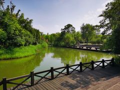 -梁鸿国家湿地公园