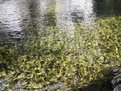 -百脉泉景区