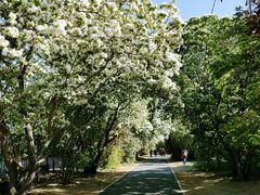 -国家植物园南园