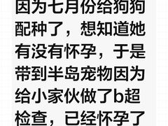 -半岛宠物医院24小时(科华中路店)
