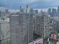-成都仁恒格蓝柏薇酒店公寓