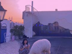 -Blue Concept Cafe&Farm·關於藍