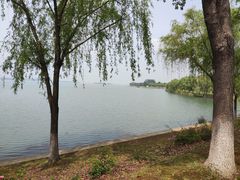 -漕湖湿地公园