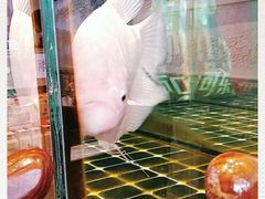 -老三羊汤【北兴隆街店】