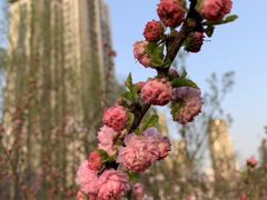 -木塔寺遗址生态公园