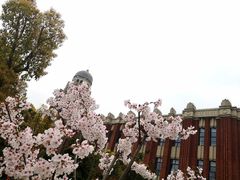 -华东政法大学(松江校区)