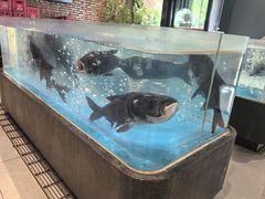 -漳河青花椒鱼头火锅