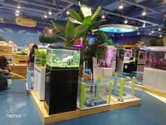 -龟与熊猫宠物公园(南坪店)