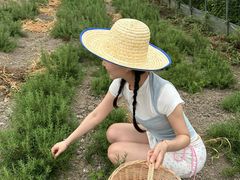 -阿林有机农庄